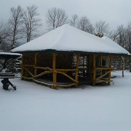 Motel Karpaty Viking Nizhneye Sinevidnoye Exteriér fotografie