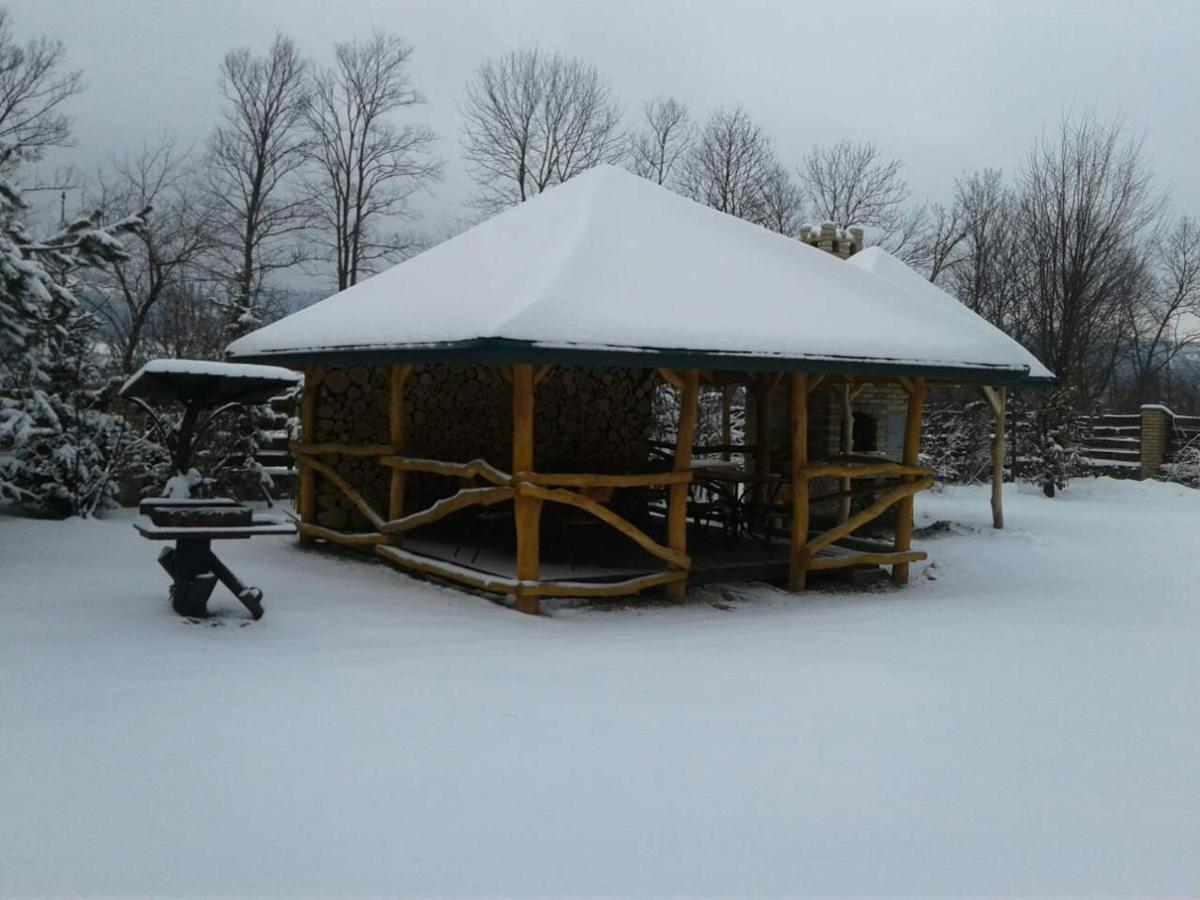 Motel Karpaty Viking Nizhneye Sinevidnoye Exteriér fotografie