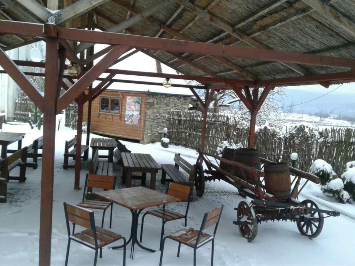 Motel Karpaty Viking Nizhneye Sinevidnoye Exteriér fotografie