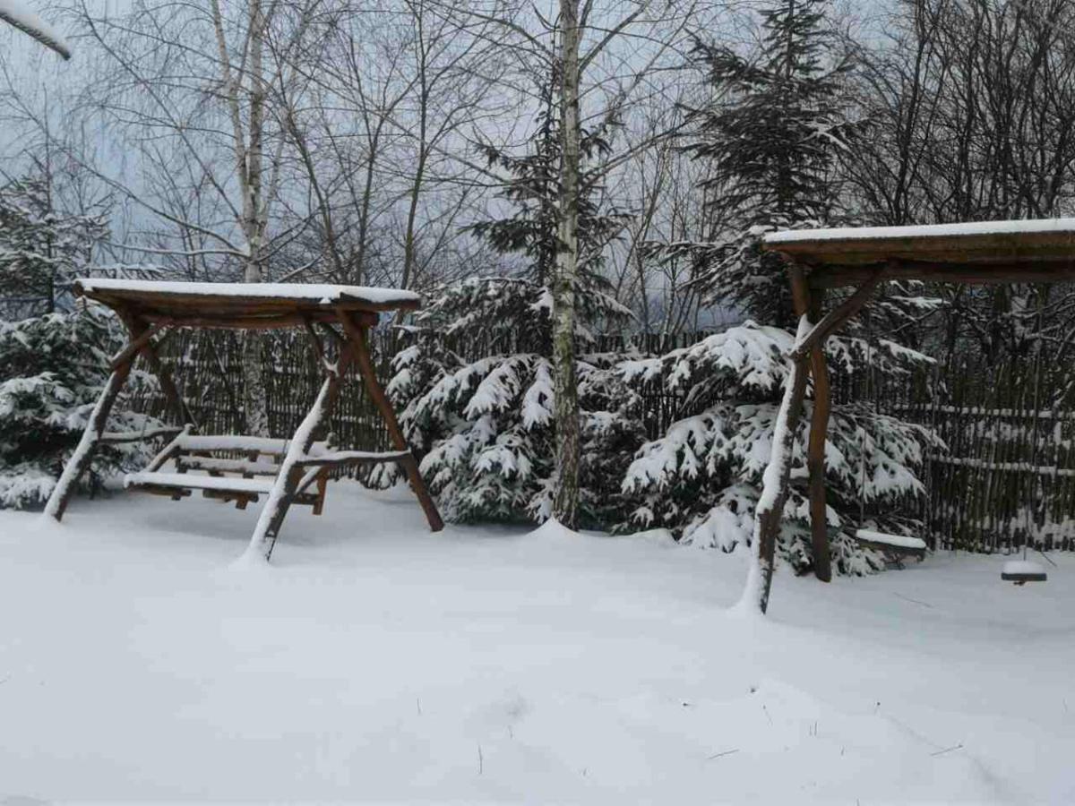 Motel Karpaty Viking Nizhneye Sinevidnoye Exteriér fotografie