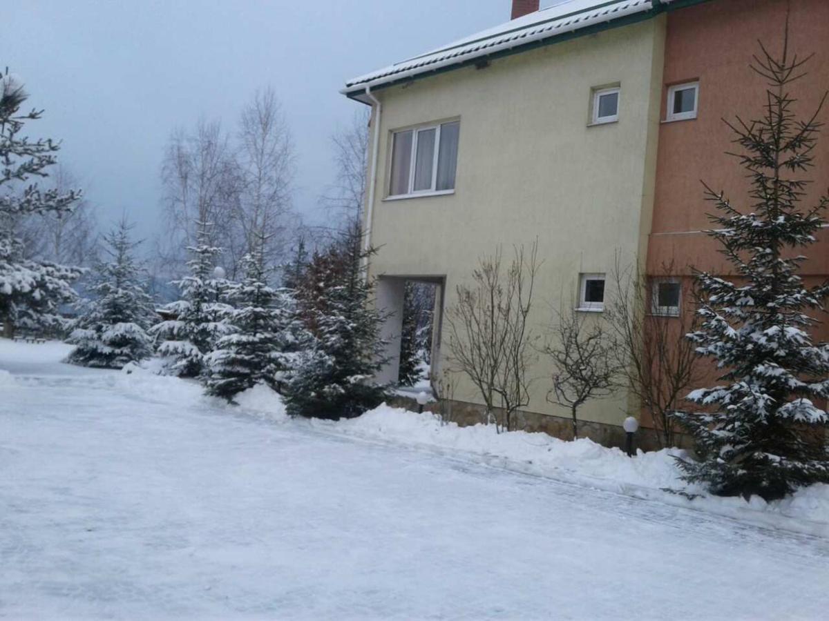 Motel Karpaty Viking Nizhneye Sinevidnoye Exteriér fotografie